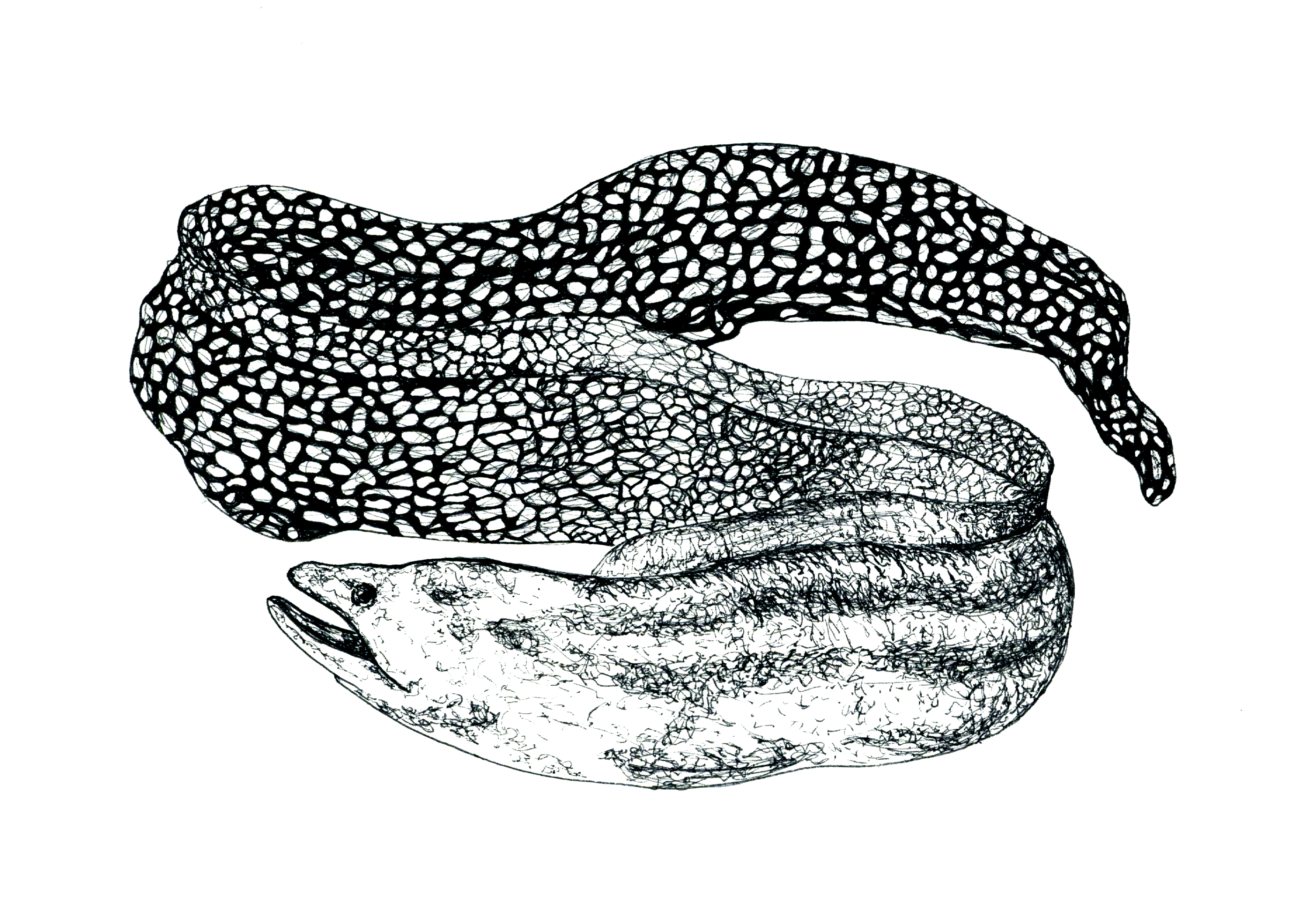 Especies peligrosas